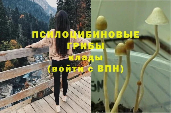 мет Верхний Тагил