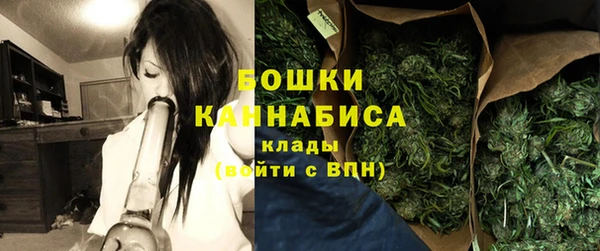 шишки Володарск