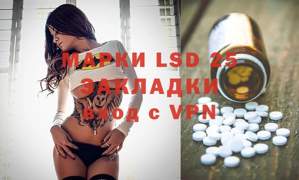 спиды Верея