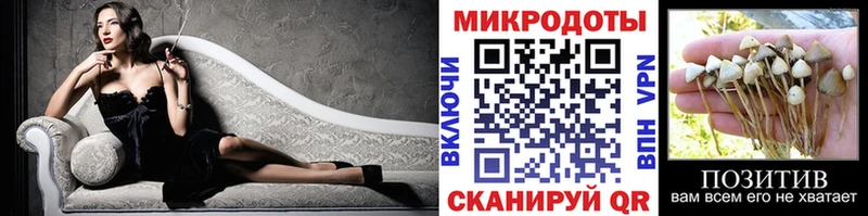 Купить  Любань  Галлюциногенные грибы Psilocybine cubensis 